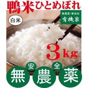 ヒノヒカリ 新米ヒノヒカリ令和7年産 奈良県産ヒノヒカリ 10kg 玄米