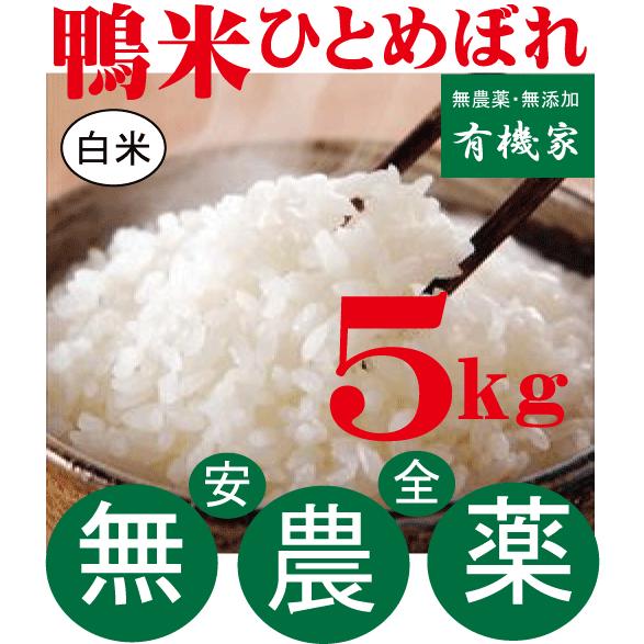 2025年産新米 無農薬ひとめぼれ白米 ５ｋｇ/１０月上旬出荷開始 鴨米ひとめぼれ　山形県佐藤さんの...