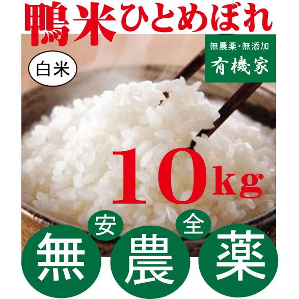 2025年産新米 無農薬ひとめぼれ白米 １０ｋｇ/１０月上旬出荷開始 鴨米ひとめぼれ　山形県佐藤さん...