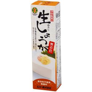 無添加旨味本来・生しょうがチューブ ４０ｇ　ワサビ・からし・生姜チューブ混載出来ます。