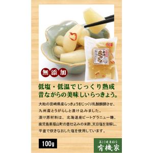 無添加 宮崎県産 ピリ辛らっきょう 100g×...の詳細画像2