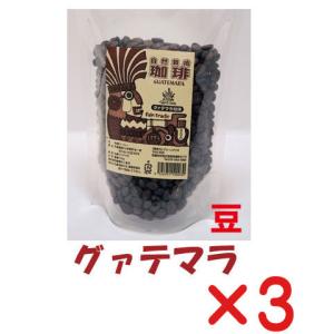 ラバッツァ クオリタロッサ 豆 ( 1kg )/ コーヒー豆 大容量