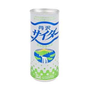 丹沢サイダー 250ml(30本)