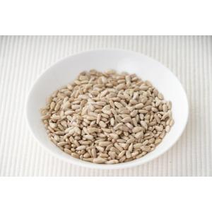 無添加 ひまわりの種110g ナチュラルナッツ...の詳細画像2