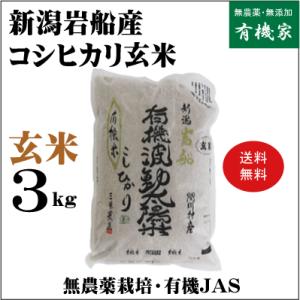 新米2023年産コシヒカリ玄米 有機JAS新潟岩船産 ３ｋｇ 頑固おやじの有機JAS・無農薬｜yuukiya0097