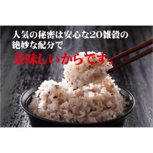 無農薬雑穀米・二十雑穀米「20雑穀米」 380...の詳細画像1