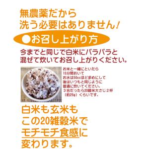 無農薬雑穀米・二十雑穀米「20雑穀米」 380...の詳細画像4