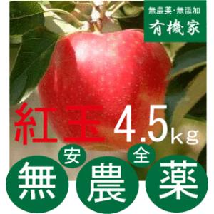 リンゴ紅玉 無農薬栽培のりんご4.5〜 5kg ...の商品画像