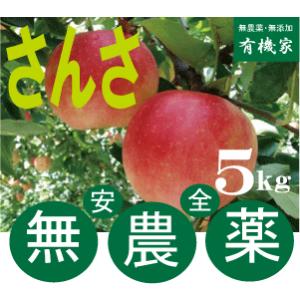 無農薬りんご「さんさ」5ｋｇ 小玉りんご 親子２代無農薬栽培・青森県「若葉農園」 9月上旬発送予定 約16〜25個前後｜yuukiya0097