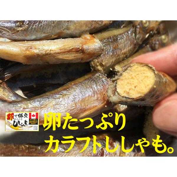 卵たっぷりカラフトししゃも  10尾入×２パック カナダ産カラフトししゃも。 約25%を占める卵率の...