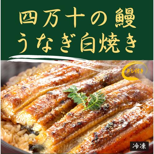 四万十の鰻　うなぎ白焼き（タレ付）（1尾：約130ｇ）×２パック 抗生物質など薬不使用 (化学調味料...