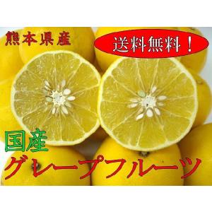国産グレープフルーツ 10kg 熊本産大きさ不揃い...