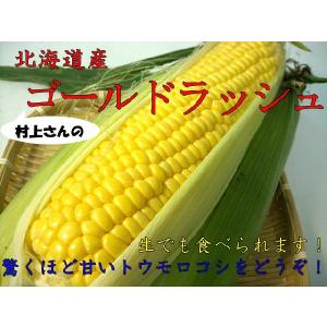 「」農薬不使用　生とうもろこし（ゴールドラッシュ/ミルキースイーツ）