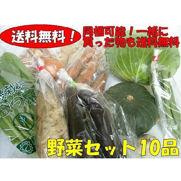 おまかせ野菜詰合わせセット　10品