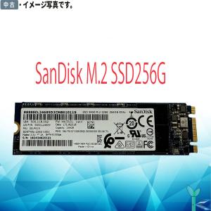 【日時指定できず】中古 SanDisk M.2 SSD 256GB SD8TN8U-256G M.2内蔵 美品 安心保証付 増設SSD ノートパソコン用SSD｜yuukou3