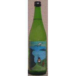 京の春 きょうのはる 令和5BY 特別純米 生原酒 山廃仕込み 伊根町 うらなぎ 720ml 向井酒...