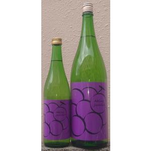 華鳩 はなはと 令和6BY 秋の純米吟醸 無濾過 原酒 ブドウラベル 1800ml 榎酒造 広島県