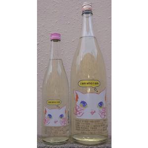 三芳菊 みよしきく 令和7BY KIT CAT!! キットカット 2026 純米吟醸 無濾過 生原酒 1800ml 超フルーティー 徳島県