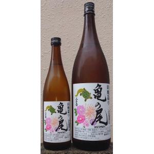 三芳菊 みよしきく 令和7BY 山廃造り 亀の尾 無濾過 生原酒 720ml 徳島県 日本酒