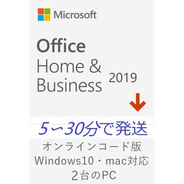 Office 2019 Microsoft Office 2019 Home and Busines...