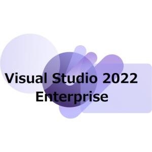 Microsoft Visual Studio Enterprise 2022日本語 1pc [ダウ...