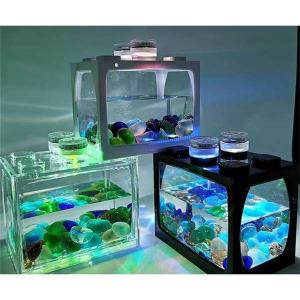 熱帯魚 人気 ランキングのランキングtop54 人気売れ筋ランキング Yahoo ショッピング