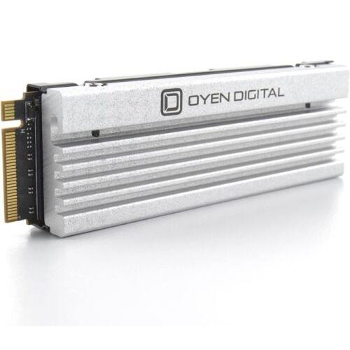 Dash Pro 4TB NVMe PCIe SSD with Heatsink for Sony ...