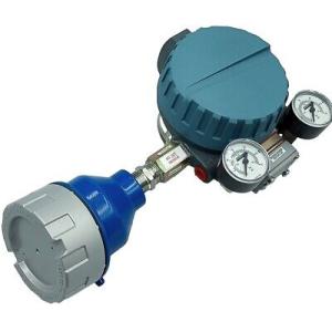 会話特別なフォックスボロE69F-TI12-JS