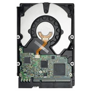 Western Digital（ウエスタンデジタル） 【平行輸入品】HGST Ultrastar