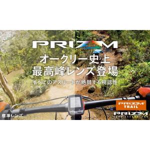 日本正規品 オークリー(OAKLEY)プリズム...の詳細画像3