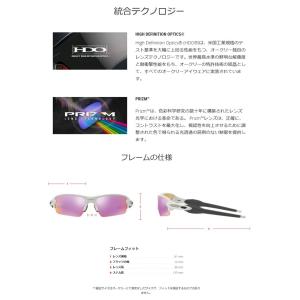 日本正規品 オークリー (OAKLEY) サン...の詳細画像3