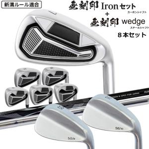 WORLD EAGLE アイアンセット ゴルフクラブ ワールドイーグル メンズ WE