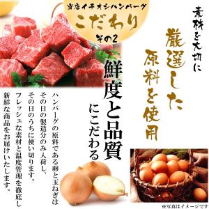 プロお墨付き 3冠受賞 ハンバーグ 冷凍 惣菜...の詳細画像5
