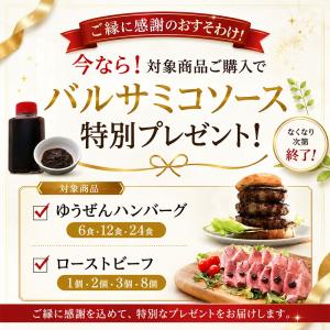 数量限定バルサミコソース プレゼント付 無添加...の詳細画像2