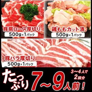 焼肉 BBQ セット 1.8kg 7人前〜9人...の詳細画像4