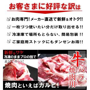 焼肉 BBQ セット 1.8kg 7人前〜9人...の詳細画像5