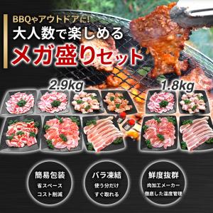 焼肉 BBQ セット 1.8kg 7人前〜9人...の詳細画像4