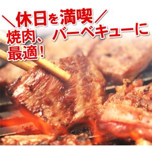 焼肉 BBQ セット 2.9kg 食材 肉 送...の詳細画像2