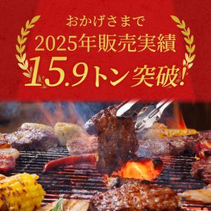 焼肉 BBQ セット 2.9kg 食材 肉 送...の詳細画像1