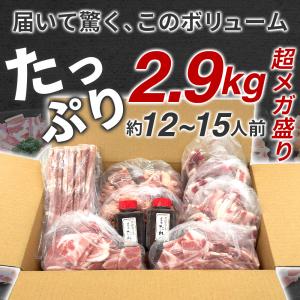 メガ盛り 焼肉 BBQ セット 2.9kg 食...の詳細画像2