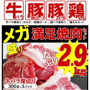 焼肉 BBQ セット 2.9kg 食材 肉 送...の詳細画像3