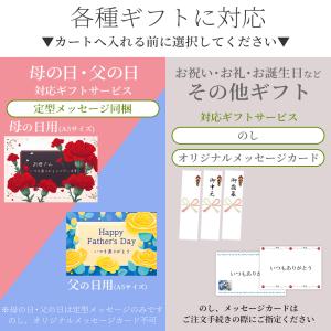 父の日 ギフト 2026 贈り物 肉 ハンバー...の詳細画像1