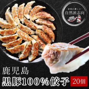 無添加 鹿児島黒豚 100% 餃子 20個入 冷凍食品 ぎょうざ ギョーザ 新商品 新発売キャンペーン 爆買