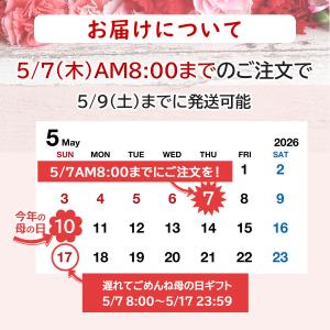 母の日 食べ物 プレゼント 2026 ギフト ...の詳細画像5