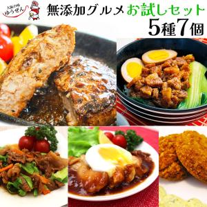 冷凍食品 惣菜セット 肉 無添加 お試しセット 5種7個 お弁当 おかず グルメ ご試食 おうちごはん 応援 簡単調理