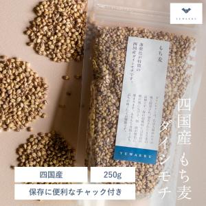 もち麦 250g 雑穀米 ダイシモチ 四国産 爆買