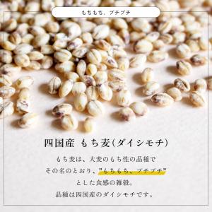 もち麦 250g 雑穀米 ダイシモチ 四国産 爆買の詳細画像2
