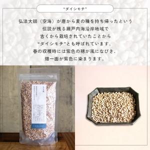 もち麦 250g 雑穀米 ダイシモチ 四国産 爆買の詳細画像3