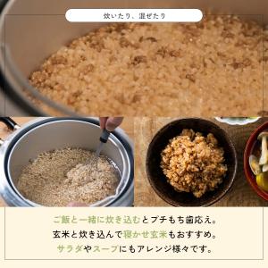 もち麦 250g 雑穀米 ダイシモチ 四国産 爆買の詳細画像5