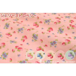YUWA 有輪商店 生地《数量限定》いちご柄ダブルガーゼ ジェリーストロベリー/松山敦子さん ソフト仕上げ 小さな柄【150cmまでネコポス発送可能】